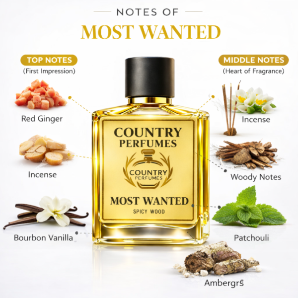 Most Wanted - Recreated version