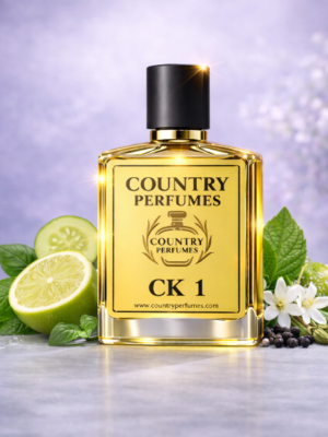 CK 1 - Recreated version