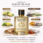 Hausy Black - Recreated version