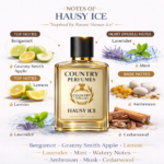 Hausy ice - Recreated version