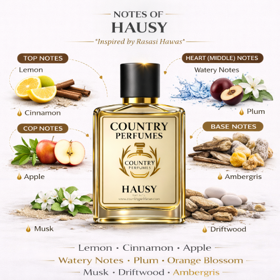 Hausy - Recreated version