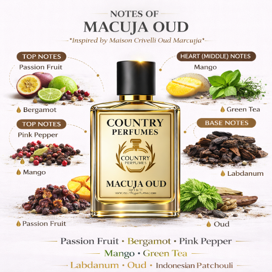 Oud Macuja - Recreated version