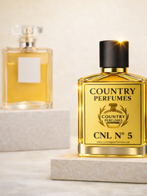 Copilot_20260318_002401