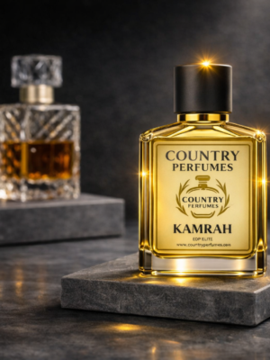 Copilot_20260318_010249