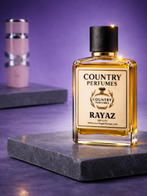 Copilot_20260319_010901