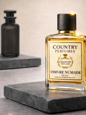 Copilot_20260319_012104