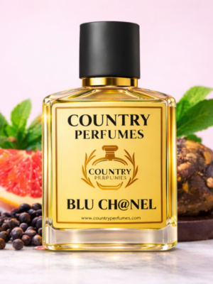 BLU Ch@NEL - Recreated version