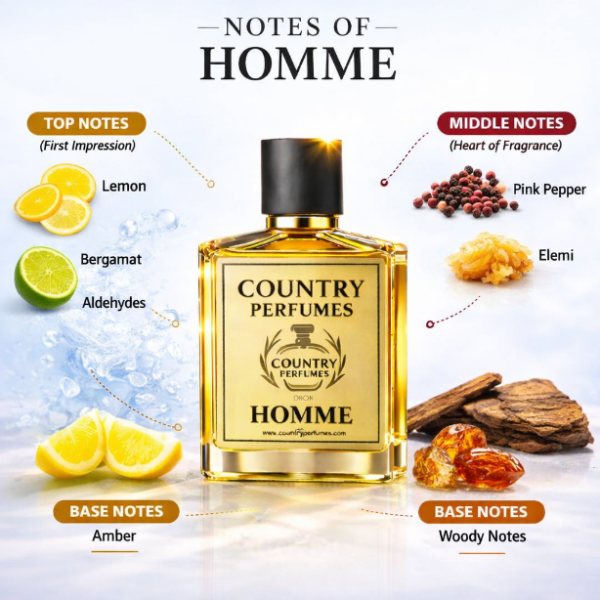 Homme - Recreated version