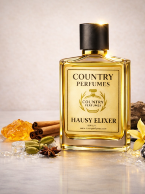 Hausy Elixer - Recreated version