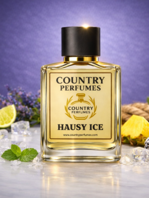 Hausy ice - Recreated version