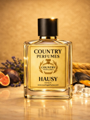 Hausy - Recreated version