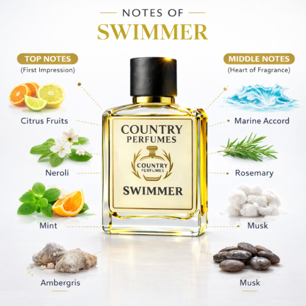 swimmer - Recreated version