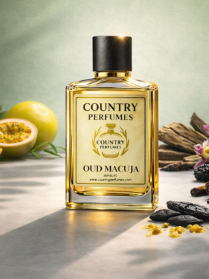 Oud Macuja - Recreated version