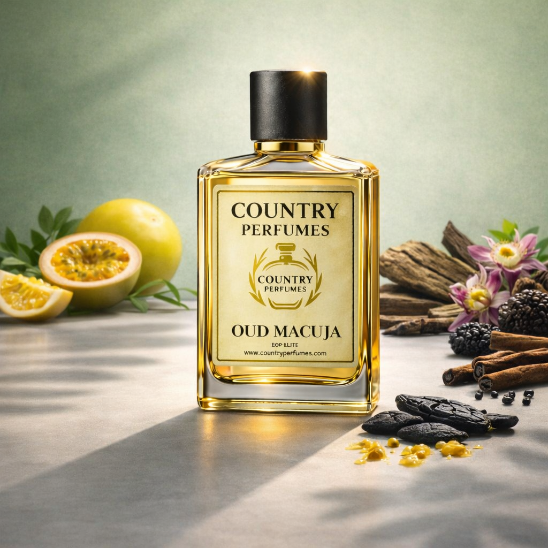 Oud Macuja - Recreated version